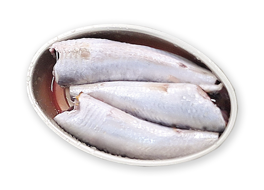魚を詰めた缶