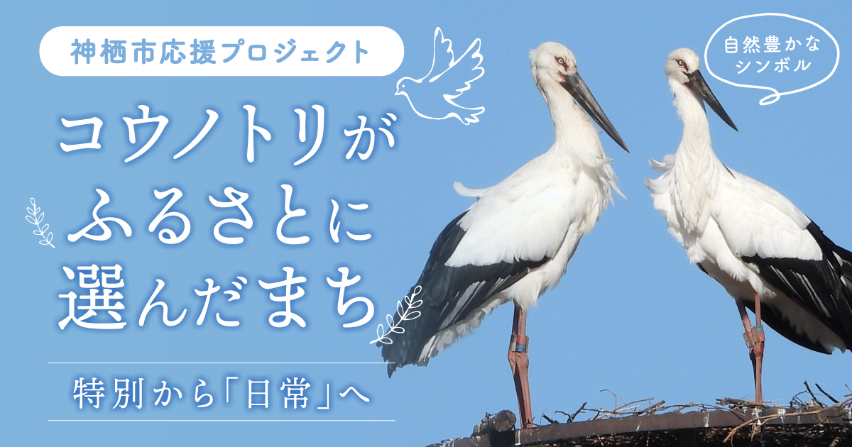 ふるさと納税型クラウドファンディング
