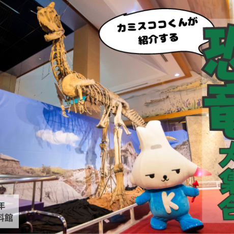 当時物83年度　現代社会資料集 当時物83年度 現代社会資料集 2025年最新】Yahoo!オークション