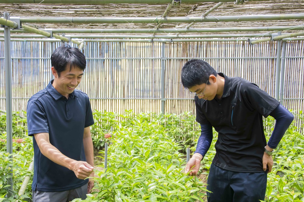 研究員の渡辺さんと村田さん